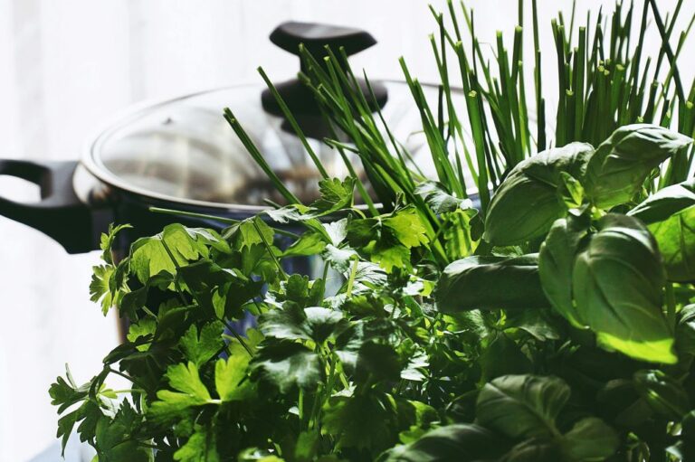 zioła w kuchni